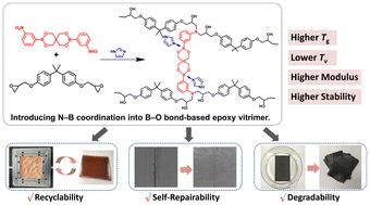 Reversible B–O bond-based epoxy vitrimers with high thermomechanical and dynamic properties enhanced by intermolecular B–N coordination