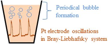 Reply to the ‘Comment on “Experimental support for the model of Bray–Liebhafsky oscillatory reaction based on the heterogeneous effects”’ by G. Schmitz, Phys. Chem. Chem. Phys., 2025, DOI: 10.1039/D5CP00355E†