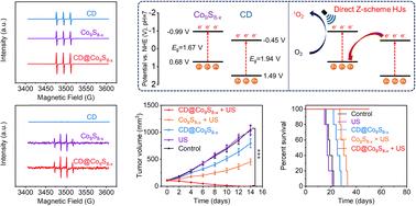 Carbon dot sensitized hollow Co9S8−x for enhanced sonodynamic cancer therapy