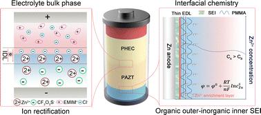 A Janus-type quasi-solid-state electrolyte enabling dual-ion relay for long lifespan of nonaqueous zinc batteries