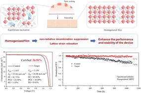 A dual-site additive mediated crystallization strategy for homogenized FA–Cs based perovskite solar cells