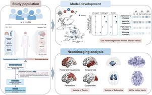 Long-term exposure to low-level nitrogen dioxide and risks of neurodegenerative diseases among middle-aged and older adults in the UK