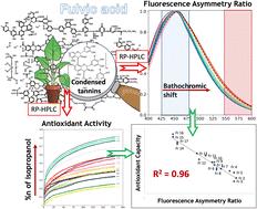 The fluorescence asymmetry ratio as an optical index of antioxidant activity of RP-HPLC fractions of fulvic acids