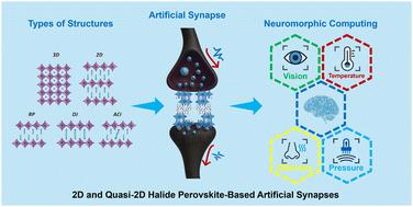 2D and quasi-2D halide perovskite-based artificial synapses: highlights
