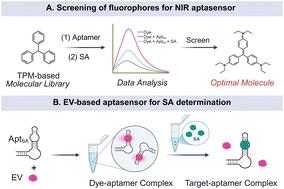 A novel label-free NIR aptasensor based on triphenylmethane dyes for rapid detection of salicylic acid
