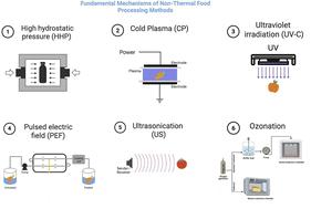 Advances in non-thermal food processing: a comprehensive approach to nutrient retention, food quality, and safety