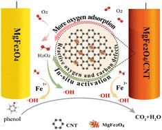 Unveiling dual-pathway H2O2 activation in a MgFe2O4/CNT composite for enhanced electrocatalytic degradation of phenol