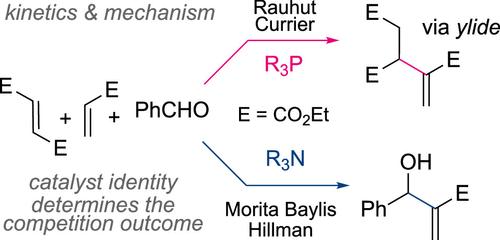 The Rauhut–Currier Reaction: Why Phosphines Are Efficient Catalysts