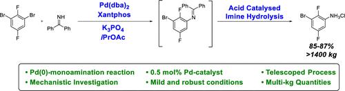 Development of a Reliable Low-Loading Palladium-Catalyzed Monoamination Process for the Large-Scale Synthesis of 3-Bromo-2,5-difluoroaniline