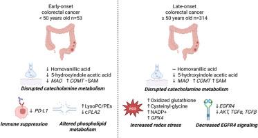 Distinct metabolic and genetic alterations in tumors from early-onset versus late-onset colorectal cancer