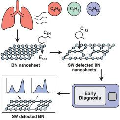 Adsorption properties and sensing capabilities of pristine and Stone–Wales defected BN nanosheets for lung cancer VOC biomarkers: A DFT investigation