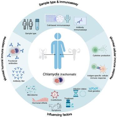 Unveiling Chlamydia trachomatis immunity in urogenital secretions: A systematic review