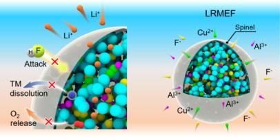 Medium-entropy-induced in-situ surface spinel phase towards stable Co-free Li-rich cathode material