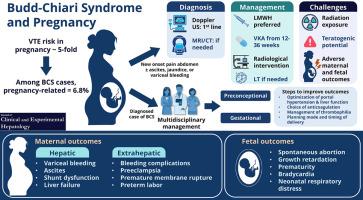 Budd–Chiari Syndrome and Pregnancy—A Review
