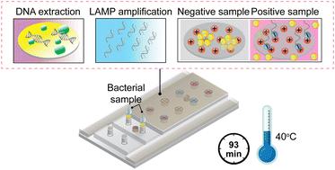 A LEGO®-inspired pipette-free approach for a fully-integrated molecular diagnostic kit isothermally operated at near body temperature for the detection of antibacterial resistance