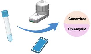 A low-cost point-of-care device for the simultaneous detection of two sexually transmitted bacterial pathogens in vaginal swab samples