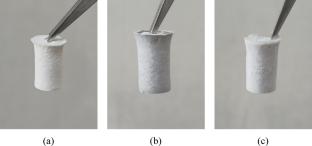 Development of King Cobia Collagen/hydroxypropyl Methylcellulose/polyvinyl Alcohol-Based Carbon Scaffolds for Potential Bone Tissue Engineering Applications