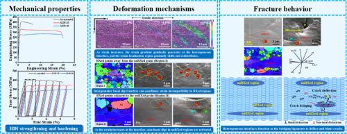 Heterostructure control enabling outstanding strength-crack tolerance synergy in a dilute Mg-Al-Mn-Zn-Ce-Nd alloy