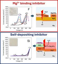 Anodic behaviour of Mg at pre-breakdown stages of PEO in basic electrolytes