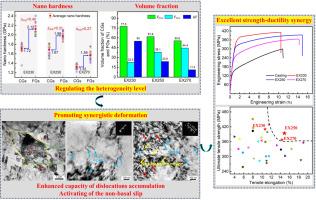 Synergistic deformation of bimodal-structured AZ80 Mg alloy for excellent strength-ductility synergy via regulating the heterogeneity level