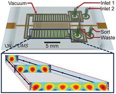 Expanding channels enhanced diffractive SAW actuated particle enrichment in vacuum-sealed microfluidic channels