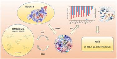 Large-scale identification of PARP7 inhibitors via computational modeling and simulation