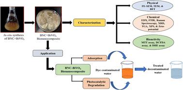 Biofabrication of a bismuth vanadate/bacterial nanocellulose adsorbent: a photocatalytic mesoporous composite for efficient removal of a fluorochrome pollutant
