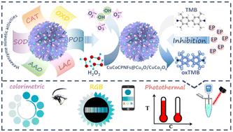 Six-in-one nanozyme: constructing a triple-mode point-of-care platform for epinephrine detection with exceptional sensitivity and precision