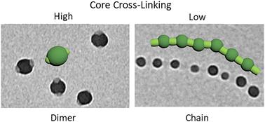 Morphological tuning of assemblies of diblock copolymer micelles via core cross-linking