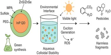 Indium phosphide quantum dots as green nanosystems for environmental detoxification: surface engineering, photocatalytic mechanisms, and comparative material insights