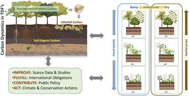 Does the carbon pool vary among Ecuador's tropical dry forests and seasons? Experimental evidence from spatio-temporal assessments