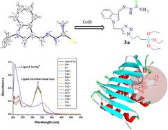 ‘Click’ generated indole appended thiosemicarbazone–triazole cojoined organosilane: a sensor for the recognition of Hg2+ ions, in silico docking and in vitro cytotoxic evaluation