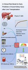 Early Prediction of Acute Kidney Injury Following Liver Transplantation: Development and Validation of a Clinical Risk Model