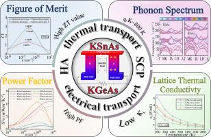 Microscopic mechanism of low lattice thermal conductivity induced by strong anharmonic vibrations in thermoelectric zintl compounds KXAs (X = Sn, Ge)