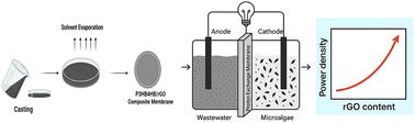 Biodegradable rGO-reinforced poly(3-hydroxybutyrate-co-4-hydroxybutyrate) (P3HB4HB) composite membranes for enhanced power generation in microbial fuel cells: a sustainable alternative to commercial PEMs