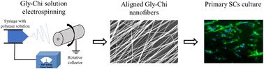 Chitosan–glycerol blended nanofibers for peripheral nerve regeneration applications