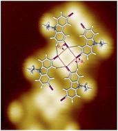 Halogen bonding-guided growth of heteroatom-rich polycarbazole wires on Au(111)