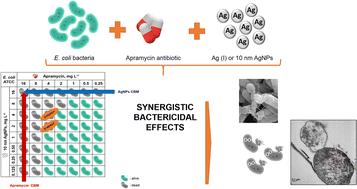 Synergistic activity of silver nanoparticles and antibiotics: apramycin against Escherichia coli