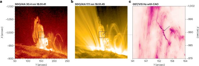 Unveiling coronal fine structures with adaptive optics