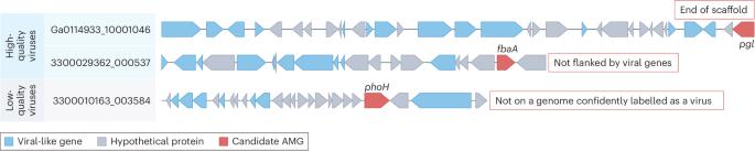 A call for caution in the biological interpretation of viral auxiliary metabolic genes