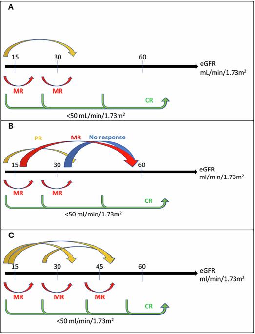 Refining renal response assessment in monoclonal immunoglobulin deposition disease: Challenges, limitations and need for consensus