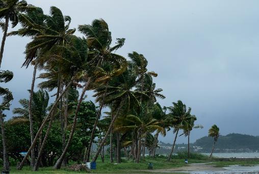 Cyclones and economic growth