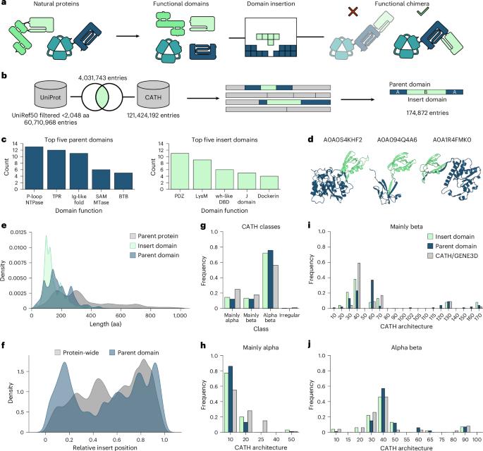Rational engineering of allosteric protein switches by in silico prediction of domain insertion sites