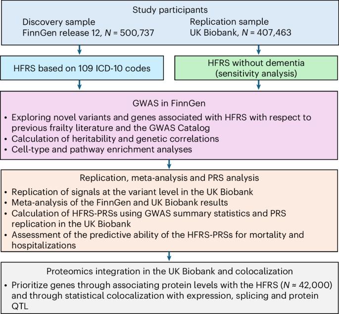 Large-scale genome-wide analyses with proteomics integration reveal novel loci and biological insights into frailty