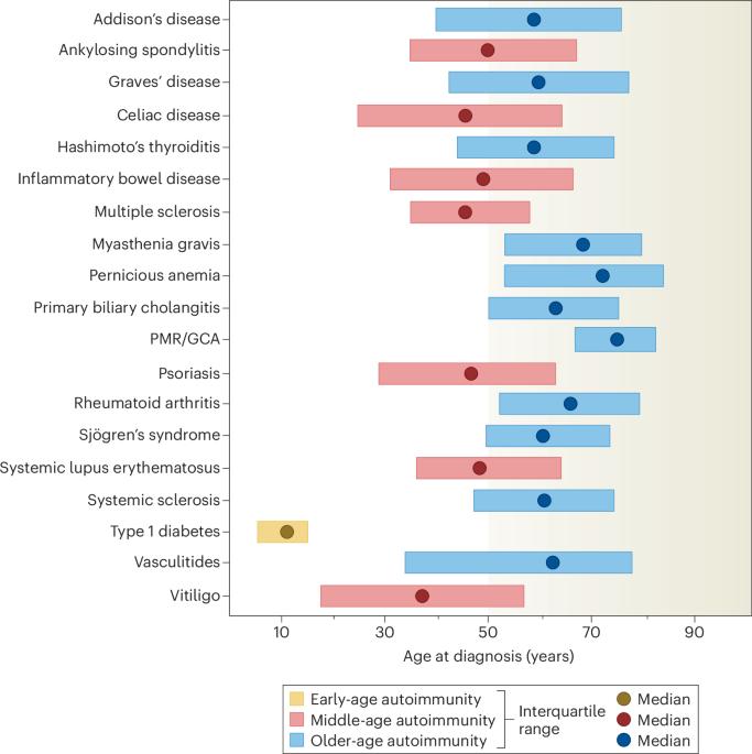 Sustained immune youth risks autoimmune disease in the aging host