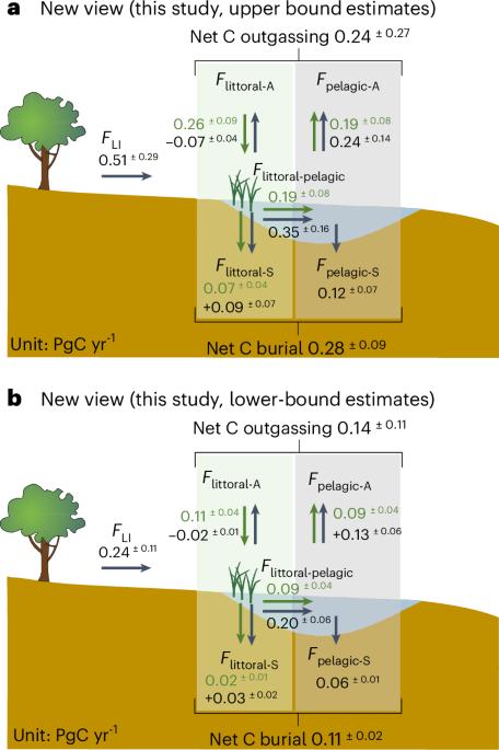 Including overlooked littoral zones in lake carbon budgets can switch lakes to net carbon sinks