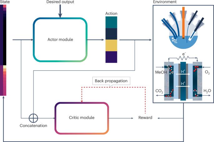 Fuel cells as lifelong learners