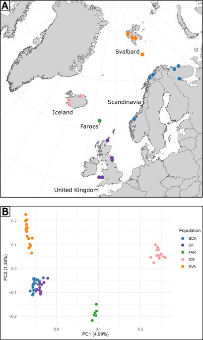 Genome sequence analysis provides evidence that a boreal crustacean colonised Svalbard well before the ongoing Atlantification of the Arctic