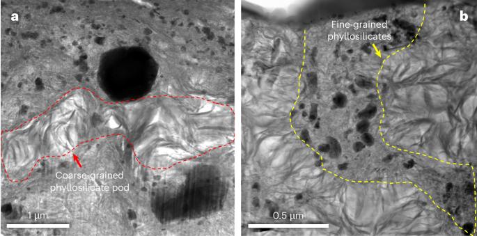 Composition of asteroid Bennu transformed by aqueous alteration