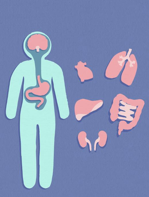 The stomach’s turn: elucidating the gut–brain axis